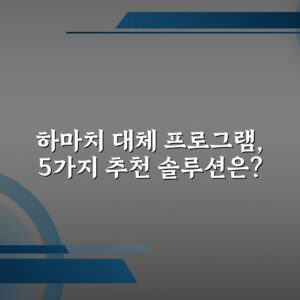 하마치 대체 프로그램, 5가지 추천 솔루션은?