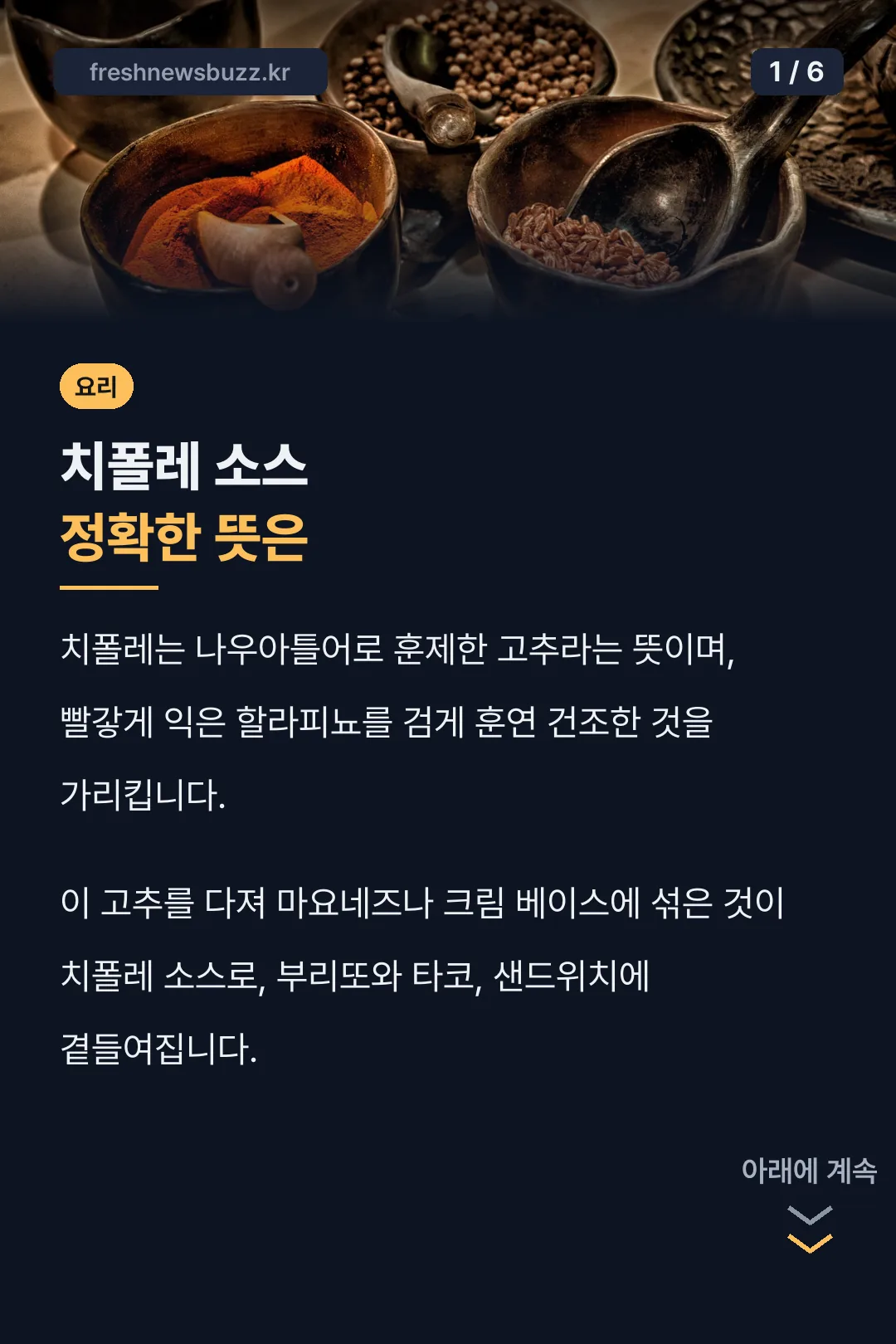치폴레 소스 정확한 뜻은