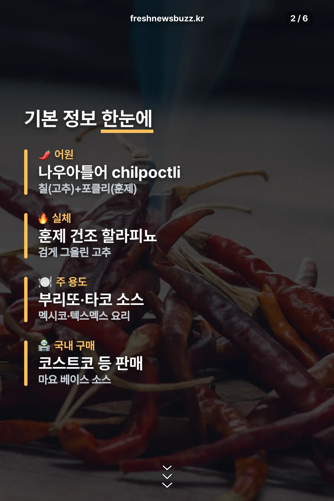 치폴레 소스 기본 정보