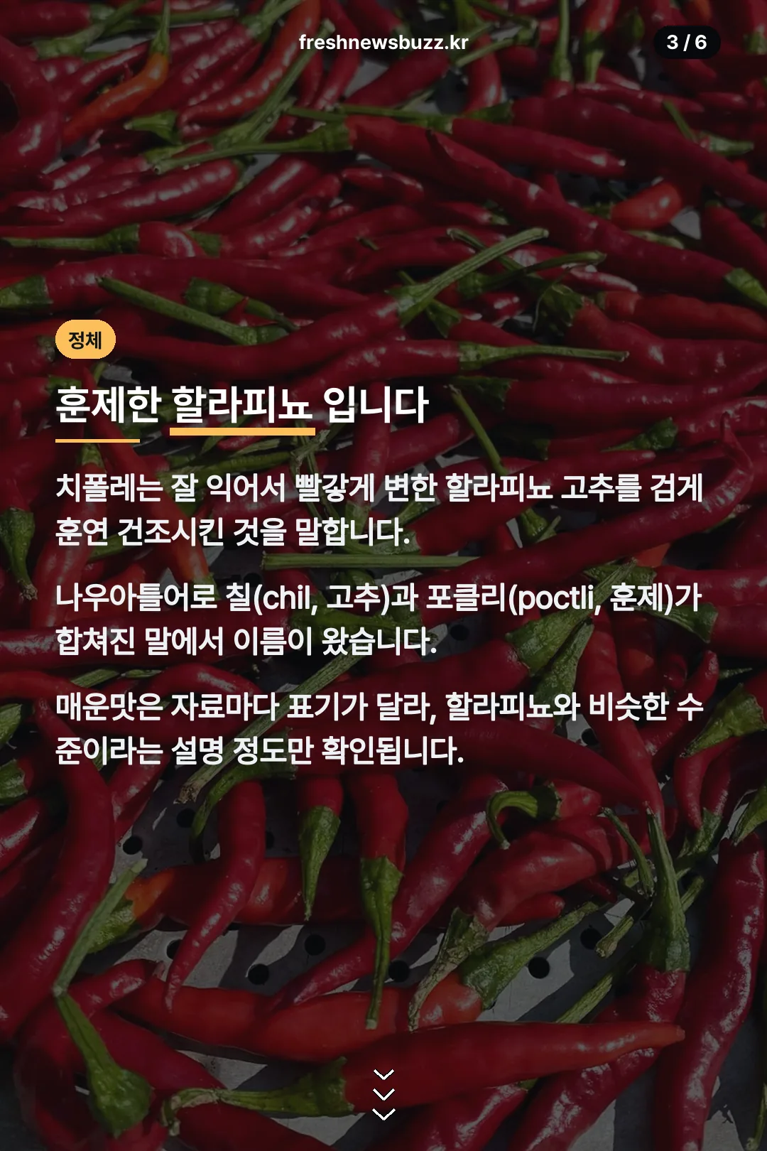 훈제 할라피뇨 정체
