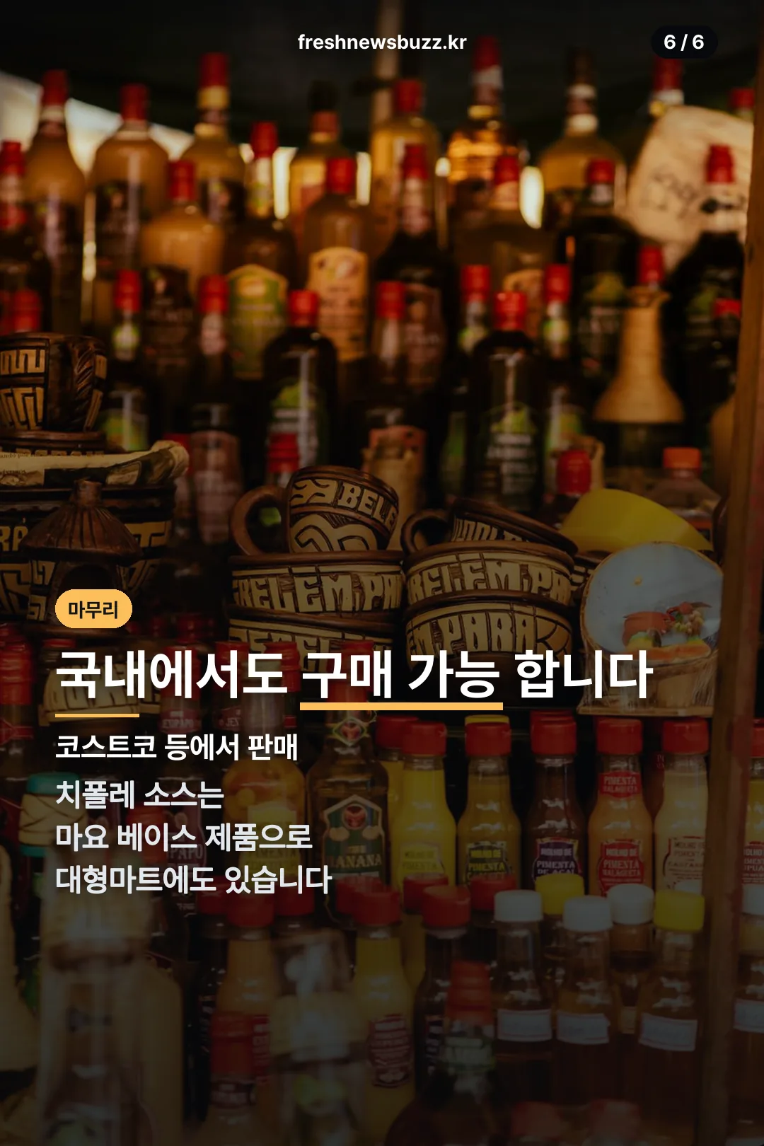국내 구매처