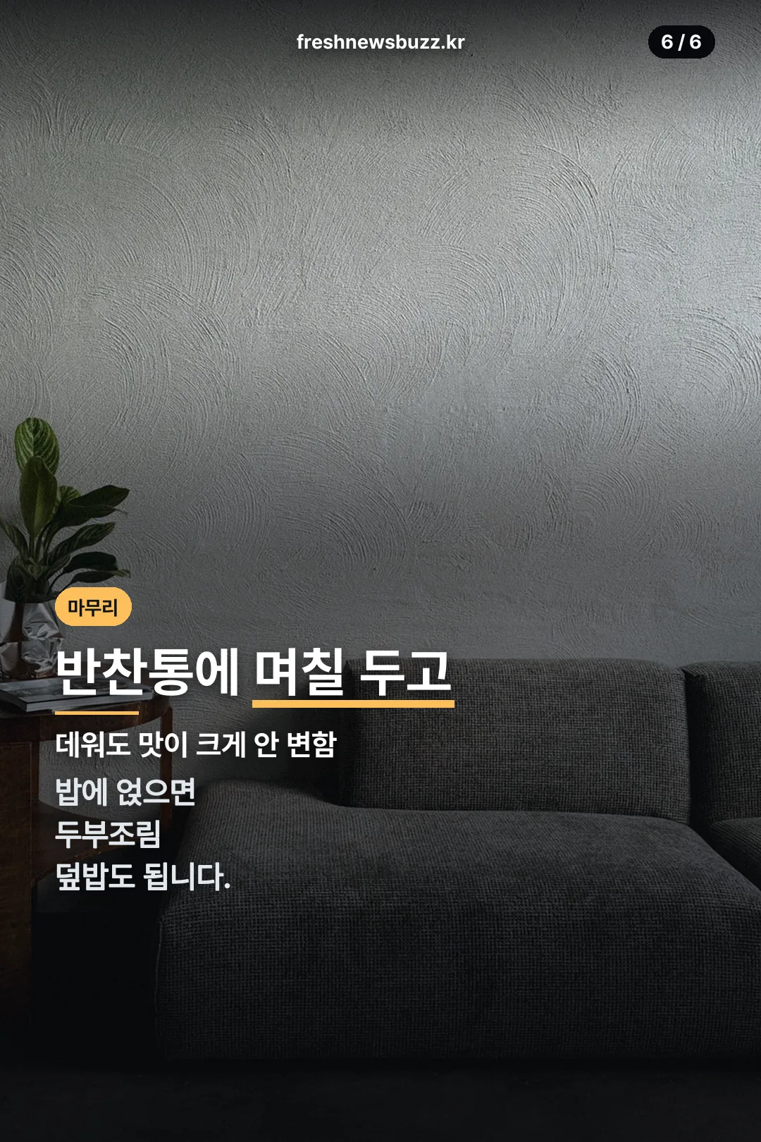 보관과 활용 팁