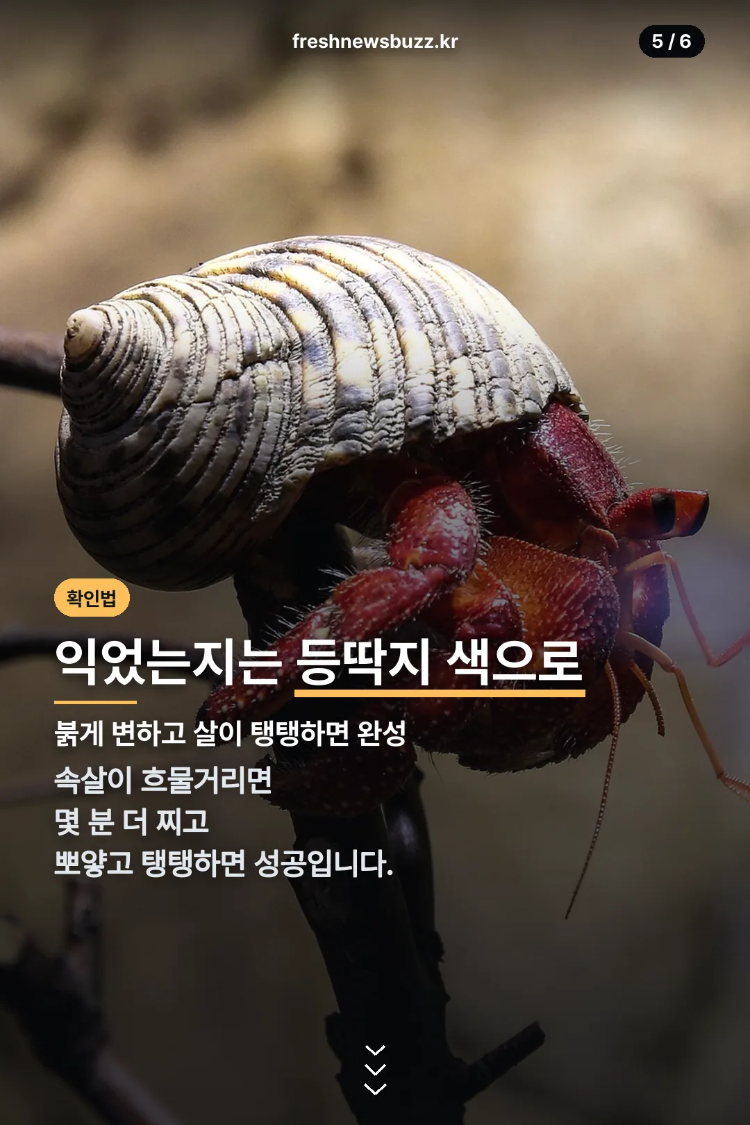 다 익었는지 확인법