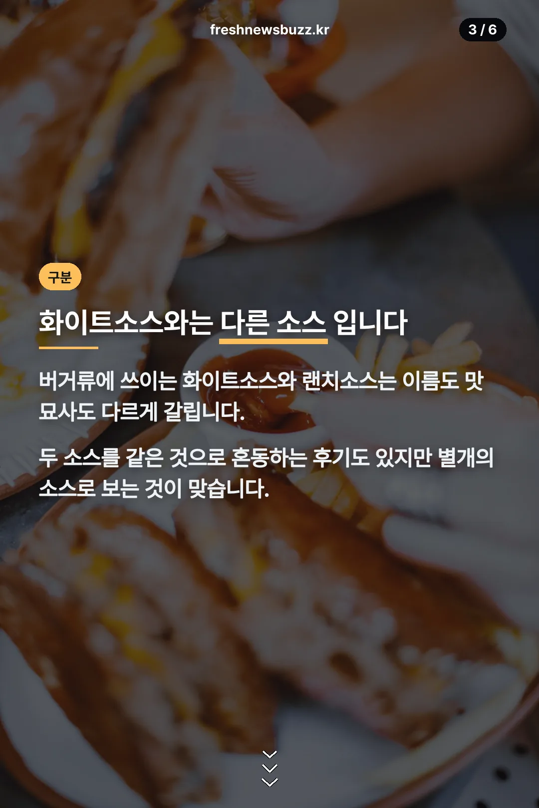 화이트소스와의 구분