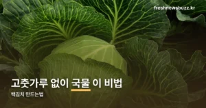 백김치 만드는법, 절임배추 4kg 기준 재료와 순서