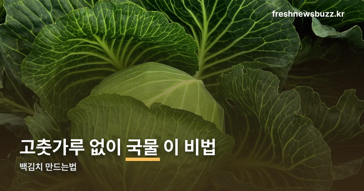 백김치 정리 썸네일