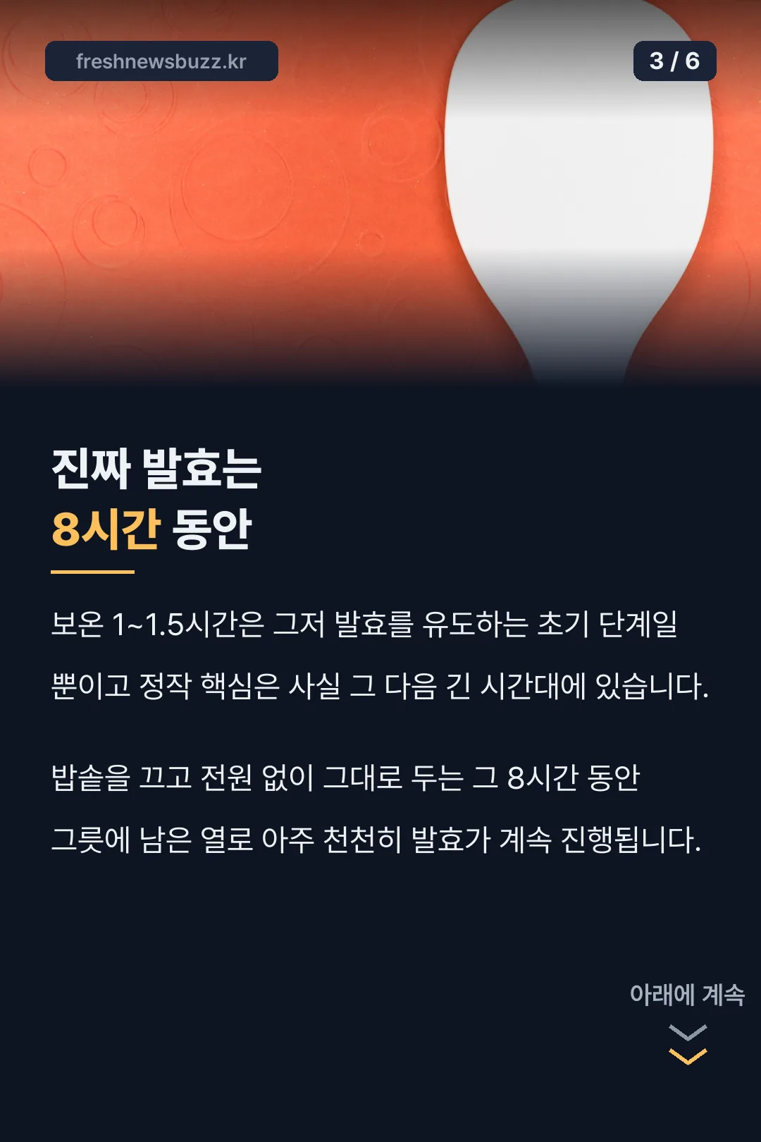 8시간 발효 사실