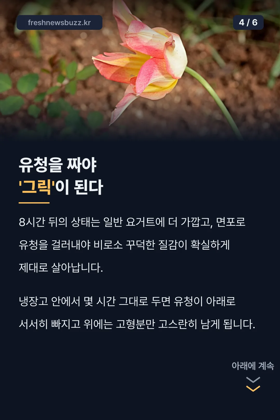 유청 제거 과정