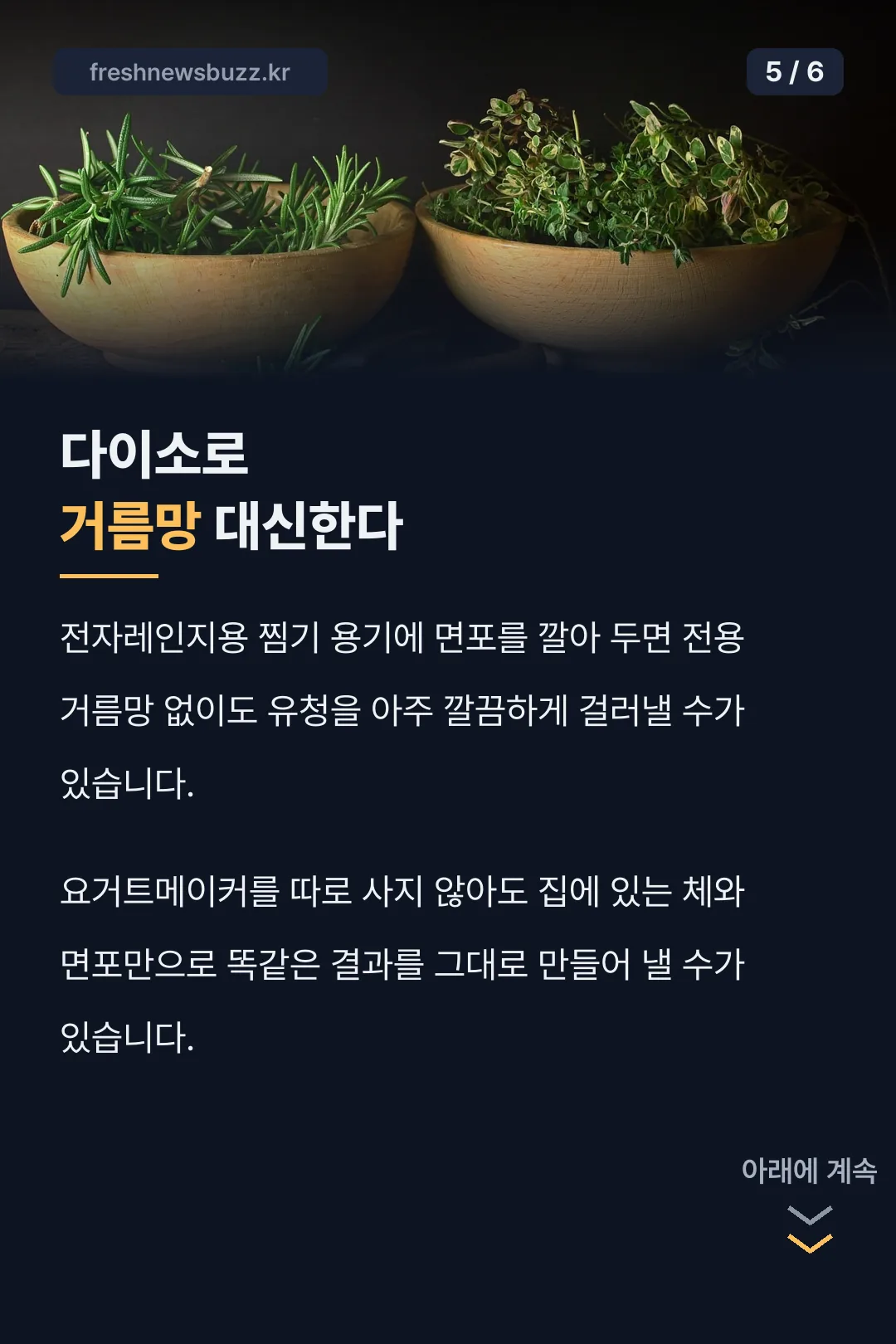 다이소 거름망 활용