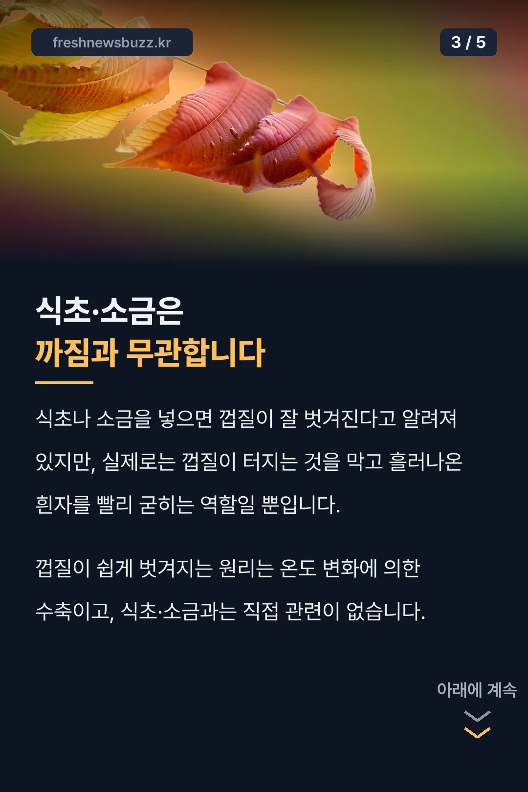 식초·소금 역할 설명
