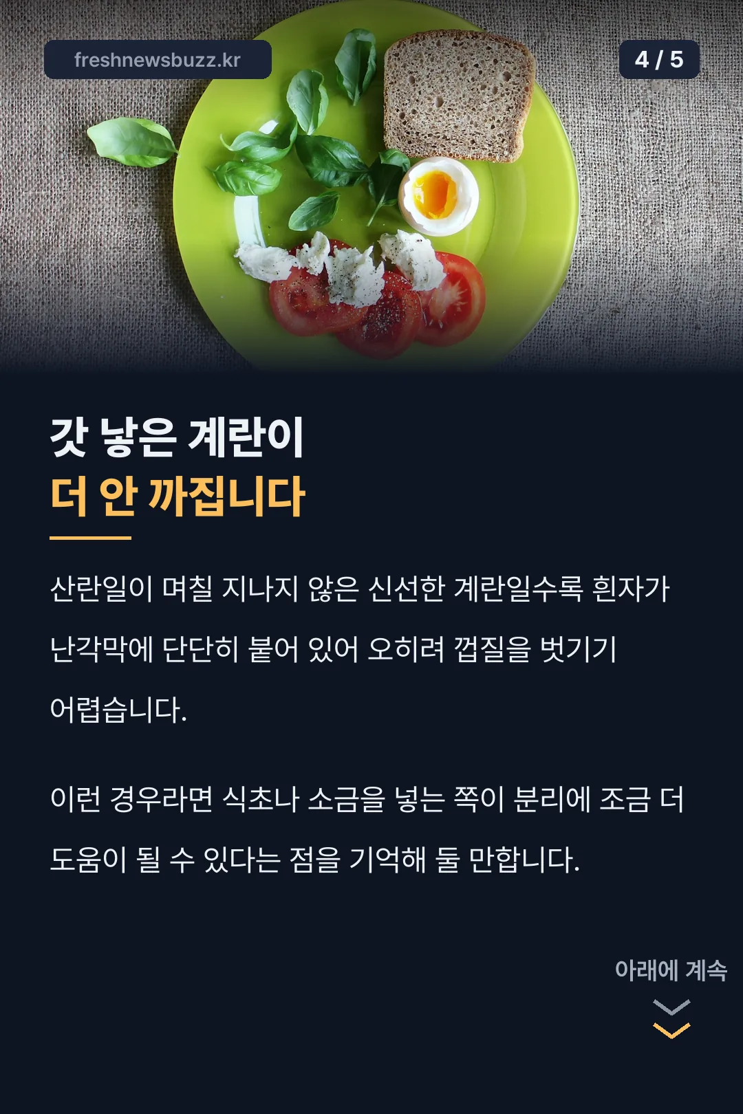 신선한 계란의 반전