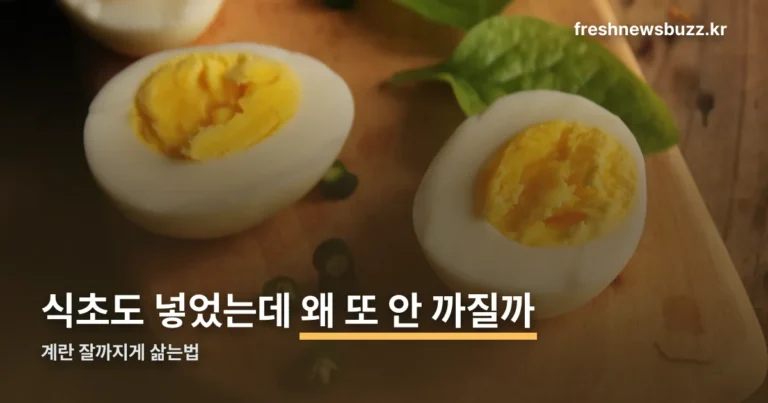 계란 잘까지게 삶는법 정리 썸네일