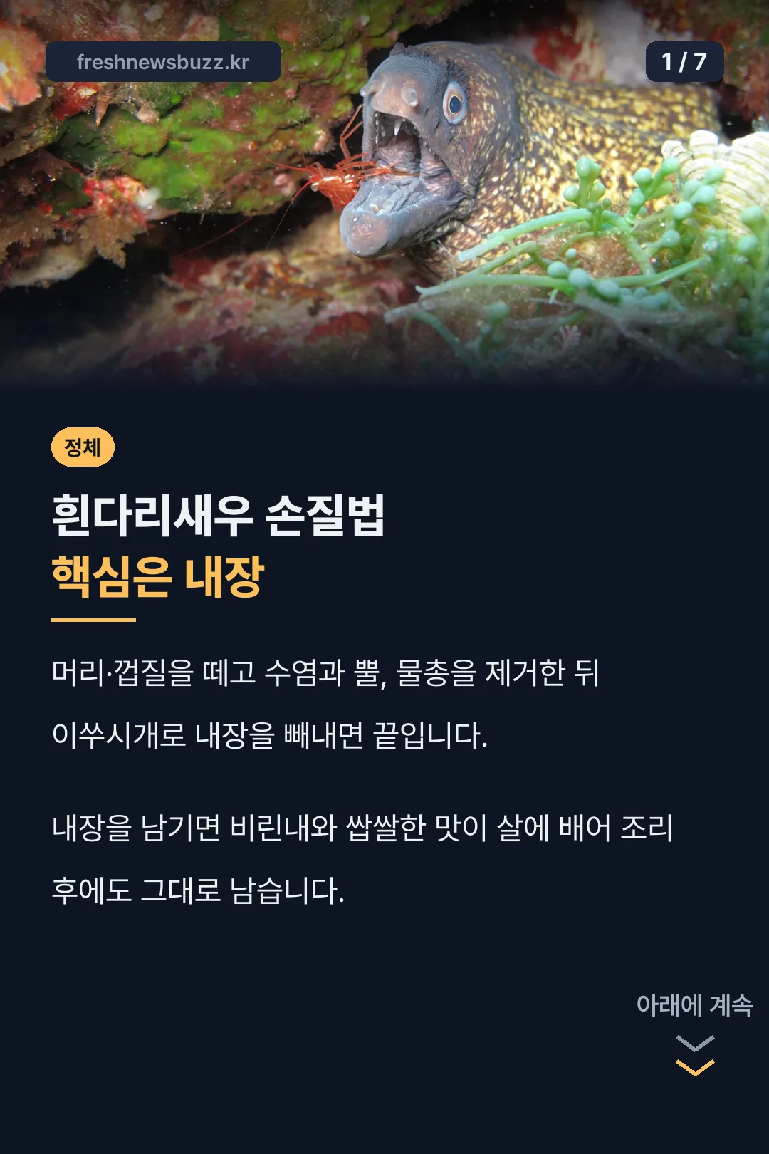 손질법 핵심 포인트