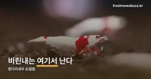 흰다리새우 손질법, 내장만 빼도 비린내가 사라집니다