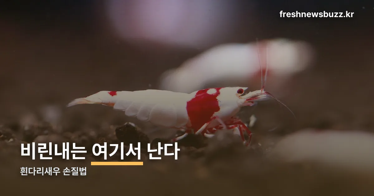 흰다리새우 손질법 정리 썸네일